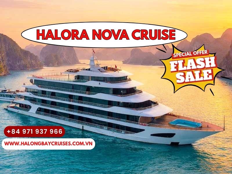 Halora Nova Cruise