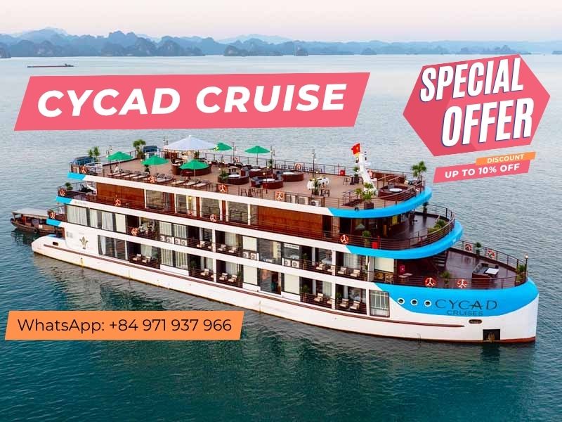 Cycad Cruise