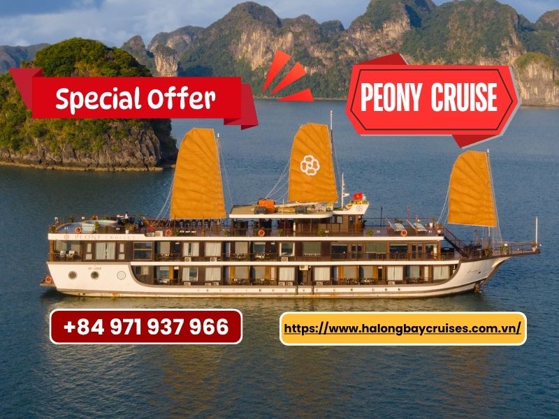 Peony Cruise