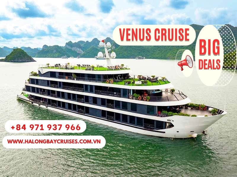 Venus Cruise