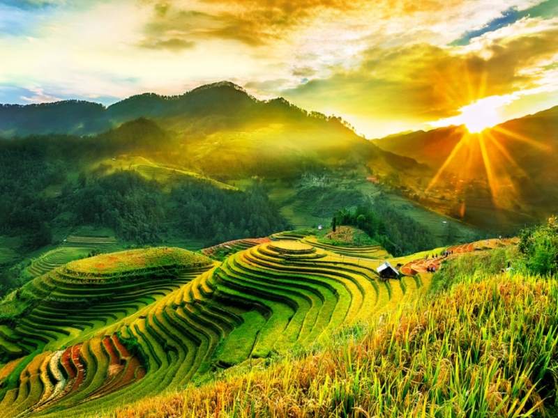 Halong Bay Cruise Package - 6 Days 5 Nights: Hanoi - Halong Bay & Lanha Bay - Ninh Binh - Sapa - Hanoi