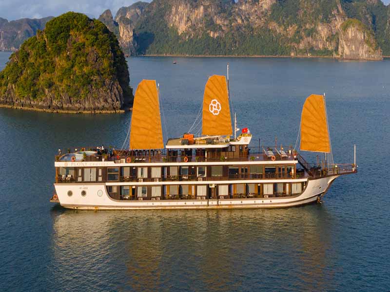 Peony Cruise - Where European Elegance Meets Vietnamese Charm - 2 Days 1 Night - Lanha Bay & Cat Ba Island