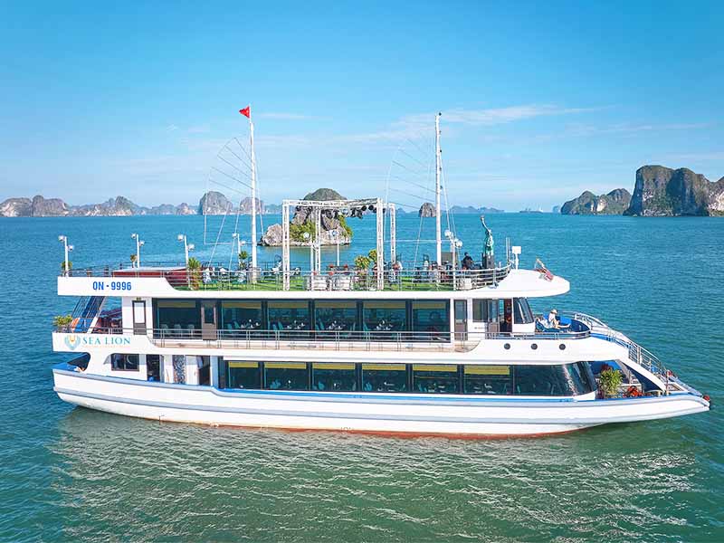 Sea Lion Cruise - A Fresh Experience 1 Day - Halong Bay