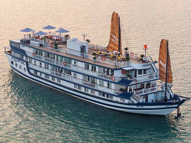 Signature Cruise - The Ultimate Luxury Experience - 2 Days 1 Night - Bai Tu Long Bay