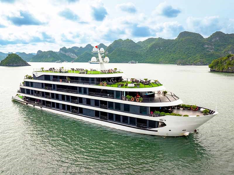Venus Cruise - Experience Luxury Aboard Venus Cruise - 2 Days 1 Night - Lan Ha Bay